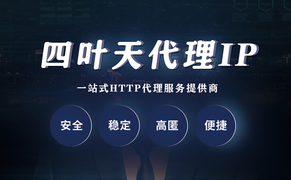 【宁德代理IP】代理ip客户端使用教程