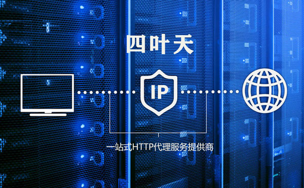 【宁德代理IP】高质量IP代理的最重要因素?